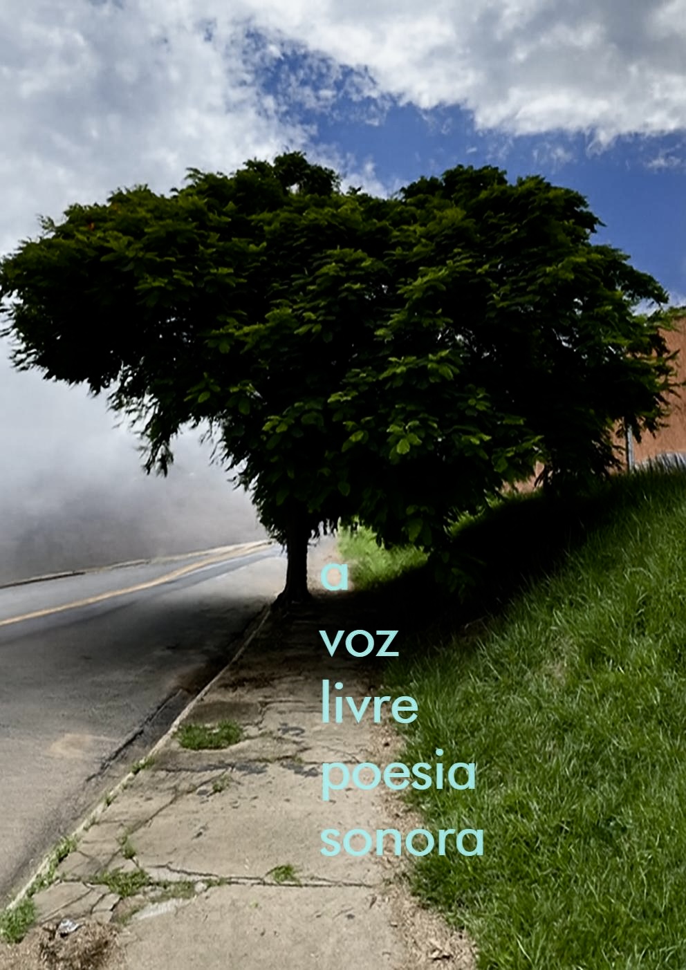 A Voz Livre Poesia Sonora - programa 13